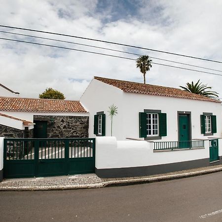 Casa Das Palmeiras São Vicente Ferreira 外观 照片