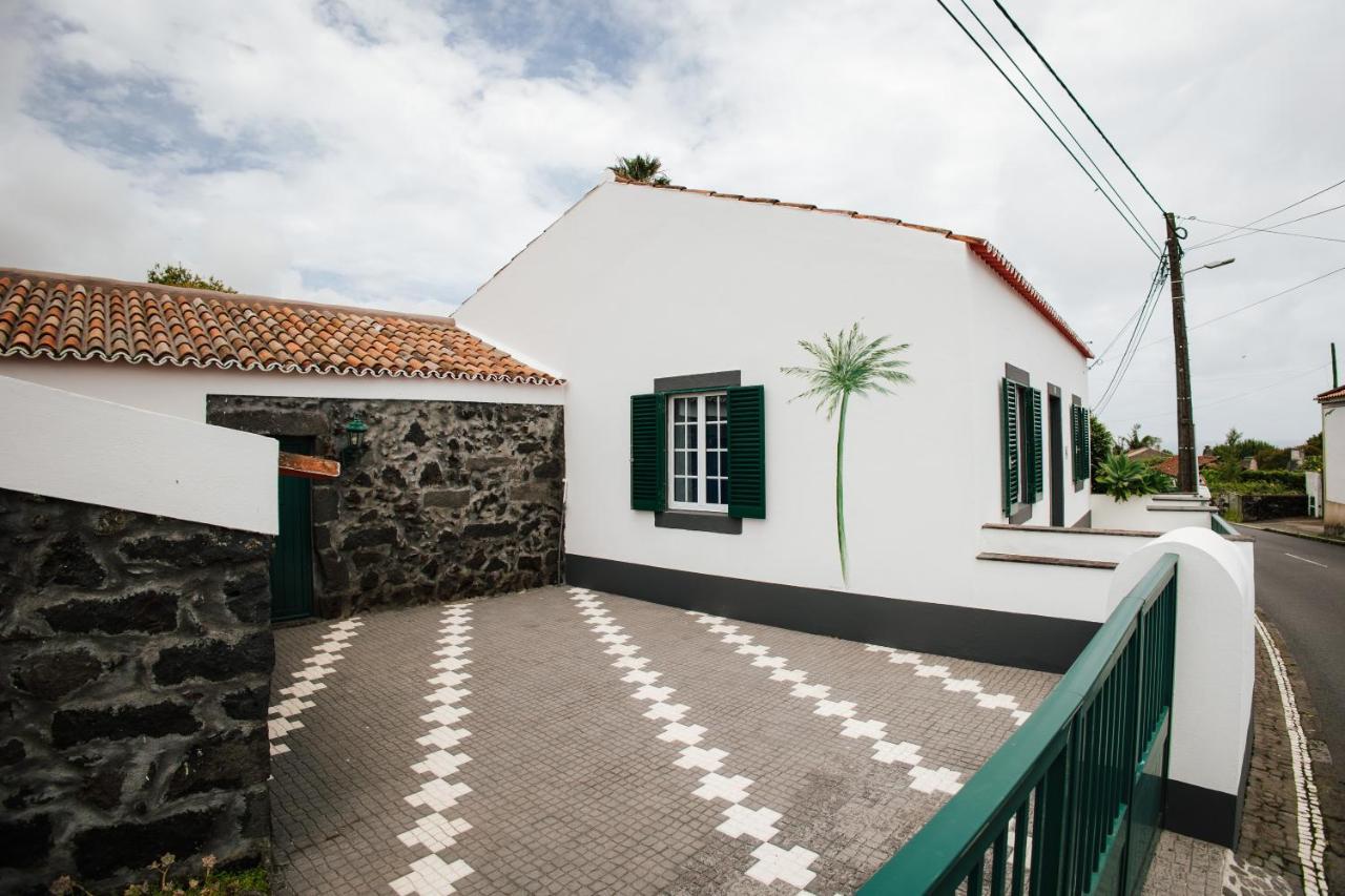 Casa Das Palmeiras São Vicente Ferreira 外观 照片