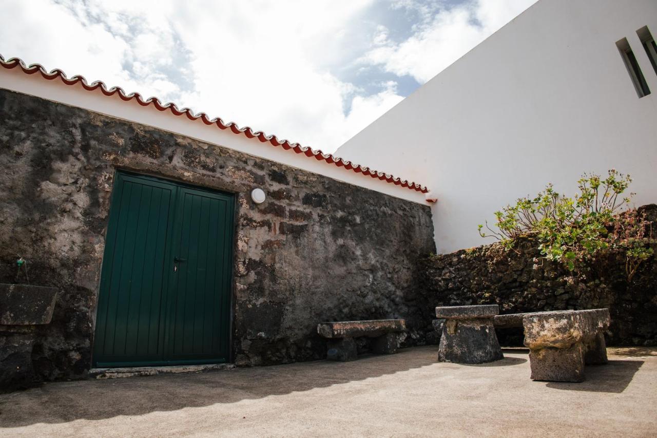 Casa Das Palmeiras São Vicente Ferreira 外观 照片