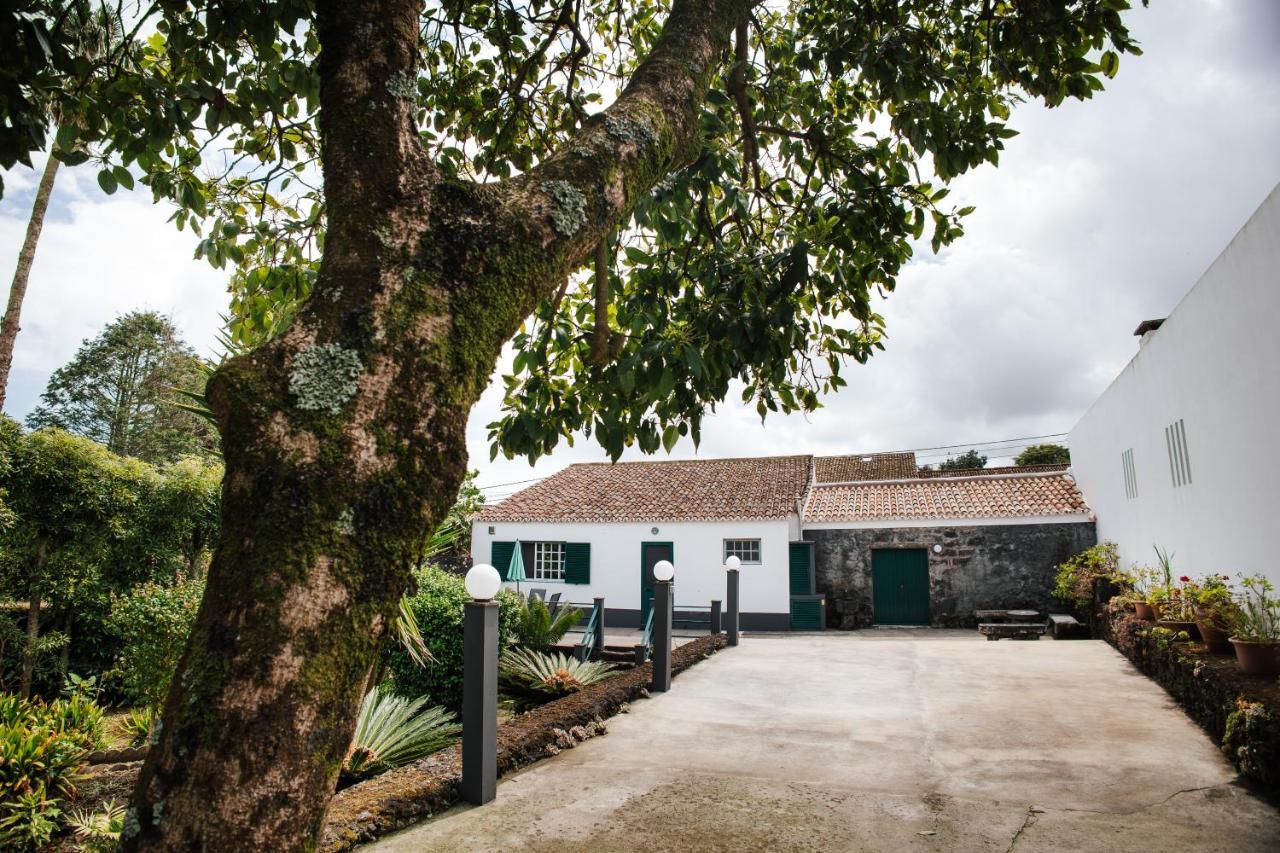 Casa Das Palmeiras São Vicente Ferreira 外观 照片